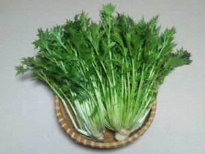 Mizuna veggies