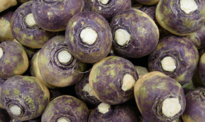 Rutabaga vegetable