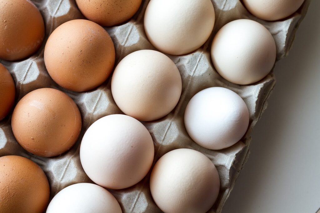 Are eggs good for you? 