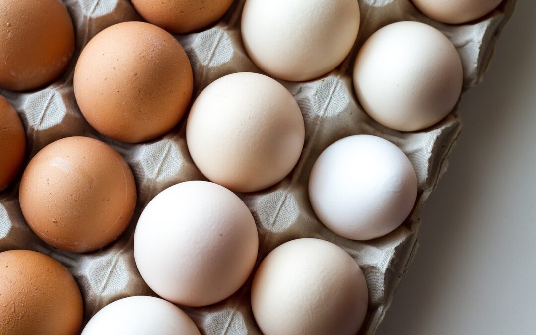 Are eggs good for you? Let’s check the science of nutrition… (#3)